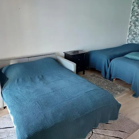 Apartmán With Balcany In The Location In Town Kotimaailma *